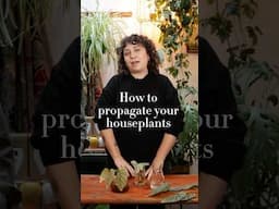 How to get more plants without spending a penny 🌿💰#houseplants #houseplantslover