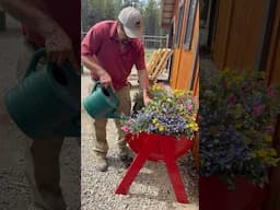 Montana Garden Magic: Stunning Planter Ideas for Beginners