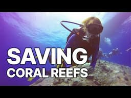 Reefs: Nomads of the Ocean | The Life of the Bajau Laut