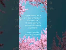 "Impermanence is a principle of harmony.