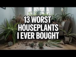 13 Worst Houseplants I Ever Bought – Total Disasters - They’ll Die on You Every Time!