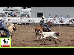 14.5 Team Roping 1st Go Part 1 - 2024 Spicer Gripp Memorial Roping