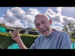 THE WISE OLD ELF - 2025 PART 2