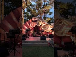 DINNER RECEPTION DAY 1, DRAPED IN MAGIC #MOONtotheMAX