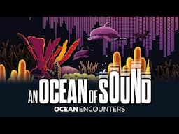 Ocean Encounters: An Ocean of Sound