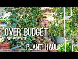 Over Budget Plant Haul! Uncommon Houseplants for Cheap! 😍🪴 Part 2 Broke the Bank?! 👀