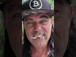 Top #5 😱 #crypto #bitcoin #cryptocurrency #gold #google #nvidia