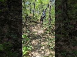 Firefly's first trail ride!  She navigates this very steep hill carefully.