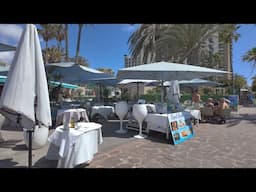 Tenerife - Current Situation On The Promenade A Great Place To People Watch In Playa Las Americas..