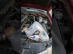 Valvoline Restore & Protect??