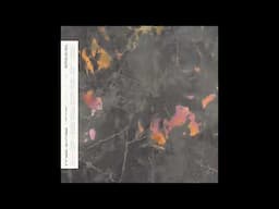 RÜFÜS DU SOL - Music is Better (RÜFÜS DU SOL Remix) [Official Audio]