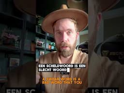 Mini Dutch Lesson: scheldwoord // swear word #nederlands #learndutch #nt2 #dutch