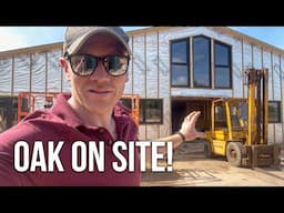 I THINK WE BUILT A SQUASH COURT! - Oak arrival, more walls and Stone Glue