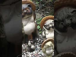 春の京都・五智山蓮華寺、雨宝院(2015年・手振れ注意) #shorts #kyoto #Japan