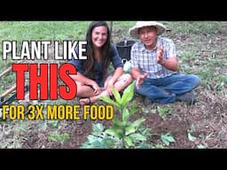 The #1 Fruit Tree Planting Mistake (And the Trick for 3x More Food)