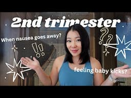 2nd trimester recap|morning sickness? feel Baby kicks? braxton hicks contractions? pregnancy symptom