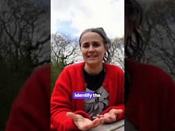 🌿In Wild Welsh Herbalism, we don’t just talk about herbs—we live them.🌿