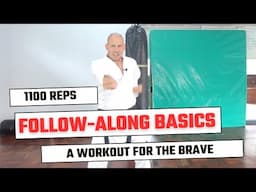 More Follow Along Karate Basics  Workout | 1100 reps | 15 Minutes