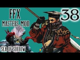 Final Fantasy X Masters Challenge Mod - Part 38 - Sea Of Sorrow Encounters Ft. Behemoth King