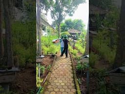 Budidaya Lebah Madu di Wisata Edukasi Jabal Rahmah #lebah #lebahmadu #budidaya