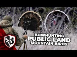 Public Land Turkeys! Nowhere to Hide!