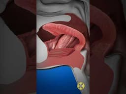 Puedes tragar tu propia lengua?! 🫣😱 #curiosidades