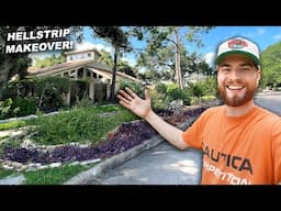 The Ultimate Hellstrip Garden Makeover! How To Propagate Purple Heart Plant, Tradescantia pallida