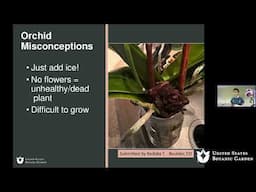 Interactive Orchid Q&A with George