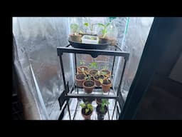 Grow Like A Pro With A Hydro Grow Tent | Best Indoor Grow Setup For Growing And Overwintering Plants