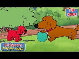 Jorge's Best Episodes | Kids Learning Cartoons | Clifford's Puppy Days | 9 Story Kids