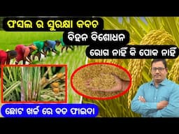 Paddy seed Treatment ଫସଲ ର ସୁରକ୍ଷା କବଚ ବିହନ ବିଶୋଧନ ଅଳ୍ପ ଖର୍ଚ୍ଚ ଅଧିକ ଫାଇଦା