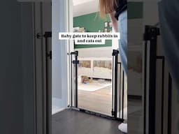 Things that just make sense in our #multi-pet household! 🏡🐾