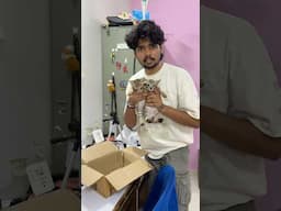 Rescue Cats ko injection diya💉😱 | #shorts #minivlog #cat