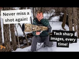 Getting sharper images in your BIF & Wildlife Photography. When & how to properly use your AF Modes