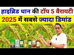 भारत में सबसे ज्यादा उत्पादन देने वाली धान की मात्र 5 वैरायटी | dhan ki top variety | dhan ki kheti