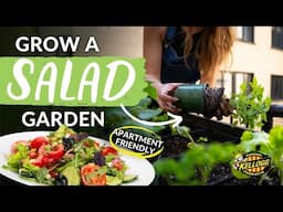 Grow a Salad Garden on Your Balcony | Easy Raised Bed Gardening for Beginners