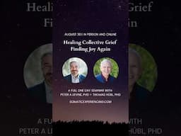 Healing Collective Grief  | Thomas Hübl