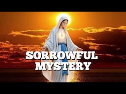 Today's Holy Rosary the SORROWFUL MYSTERY - June 13, 2025