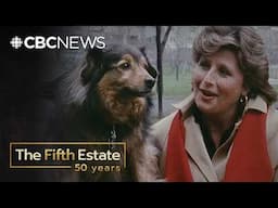 For Pets' Sake (1988) | The Fifth Estate