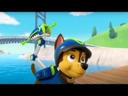 Paw Patrol - Zip Line Rescue | WildBrain Zoo | Cartoons for Kids