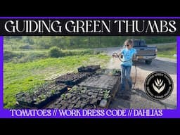 PLANTING TOMATOES / WORK DRESS CODE / WATERING PLANTS
