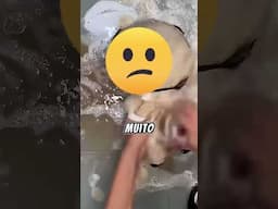 Finalmente encontrei meu amigo perdido 🥺🧸