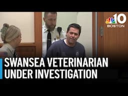 Veterinarian in Swansea accused of abusing animals