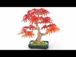 LEGO Botanicals Japanese Maple Tree (bonsai) review! #NotSponsored 10348