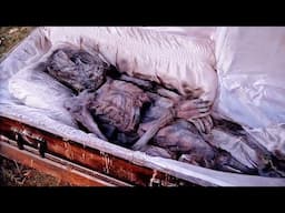 The X Files, Season 1 |FBI Agents Investigate Not Criminal Cases But Supernatural's