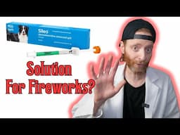 You Must Watch This BEFORE the Fireworks if You Have a Fearful Dog! Veterinarian Explains.