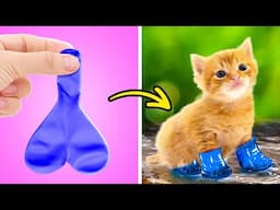 Fancy Cat Shoes From Baloon 🎈🐈 *I Made Secret Room For Kitten *Best Hacks For Pets*