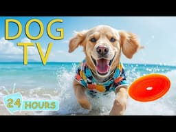 DOG TV for Dogs to Watch: Best Video Entertain & Stress Relief for Dogs When Home Alone - Music Dogs