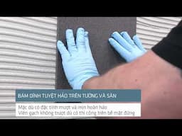 SikaCeram 200HP - Công Nghệ Keo Dán Gạch Easy Technology