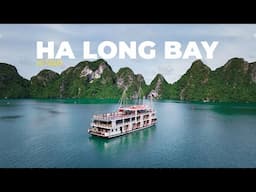Halong Bay Cruise 2025 🇻🇳 | Everything You Need to Know Before Booking!